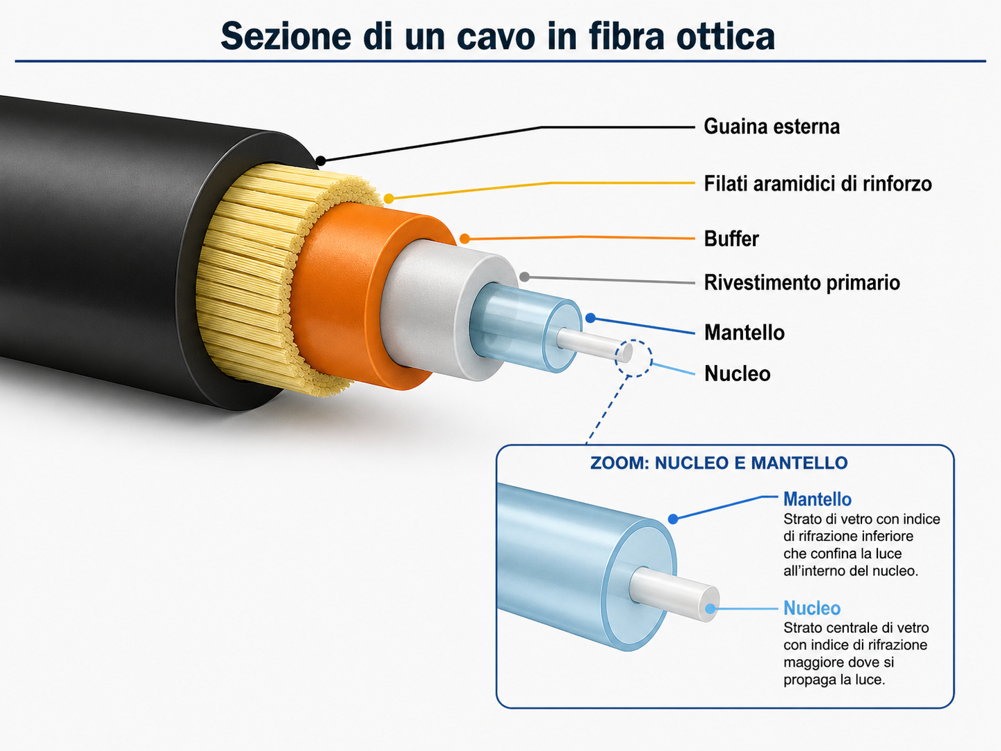 Sezione di un cavo in fibra ottica con core, cladding, buffer e guaina
